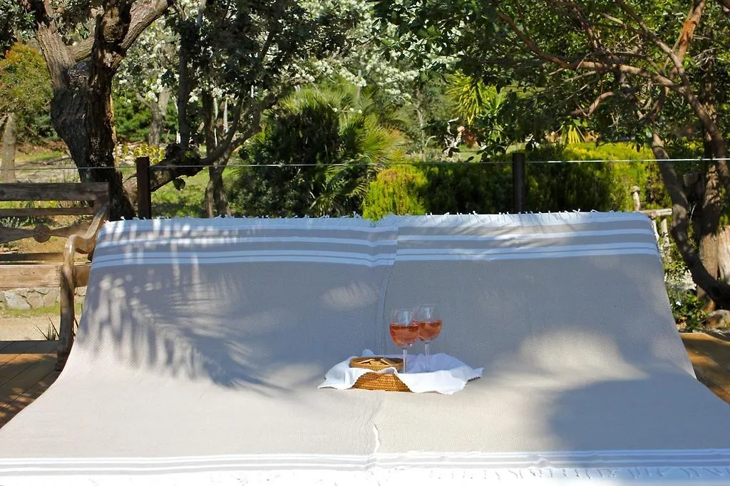 Cante Cigalo Bed & Breakfast La Croix-Valmer Guest house