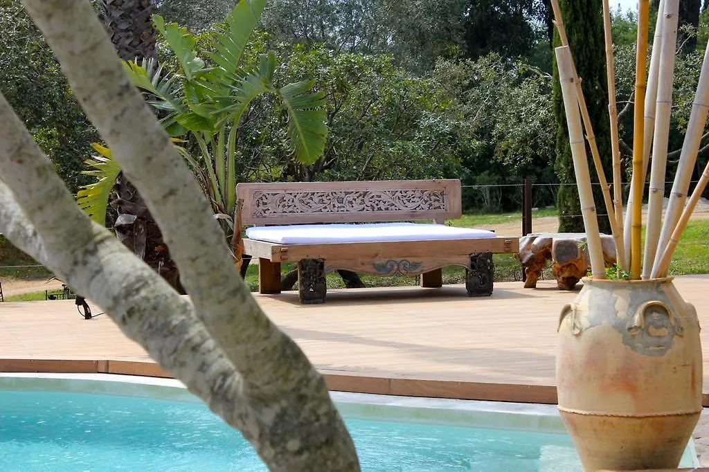 Cante Cigalo Bed & Breakfast La Croix-Valmer France