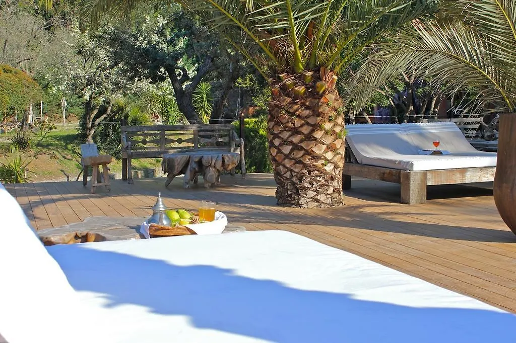Cante Cigalo Bed & Breakfast La Croix-Valmer